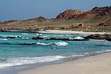 IMG_5413  Ras Irsil, Socotra